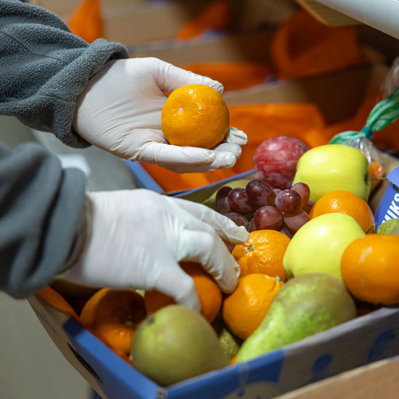 Bildet viser en kurv med frukt