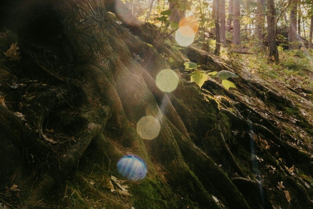 nicole-geri-usTHGOdvQjU-unsplash